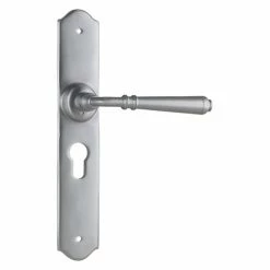 Handles & Hardware TRADCO REIMS LEVER ON LONG BACKPLATE