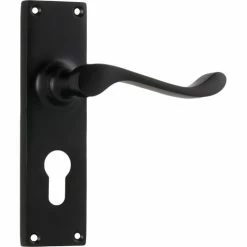 TRADCO VICTORIAN LEVER ON PLATE