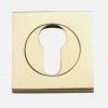 Tradco Restoration Hardware IVER ESCUTCHEONS EURO FORGED SQUARE