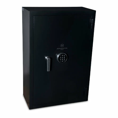 DOMINATOR DRUG SAFE DR-3 1 DOMINATOR DRUG SAFE DR-3