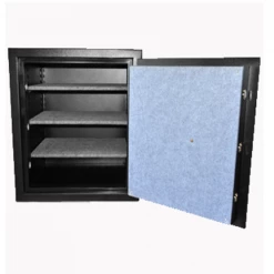 DOMINATOR DRUG SAFE PH-1